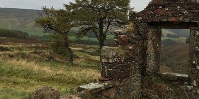 Backgrounds - Homestead Croft