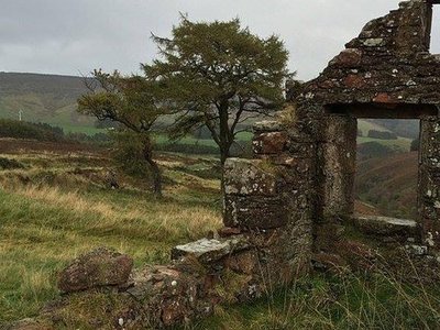 Backgrounds - Homestead Croft