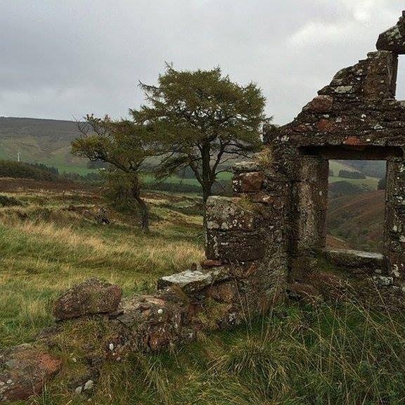 Backgrounds - Homestead Croft